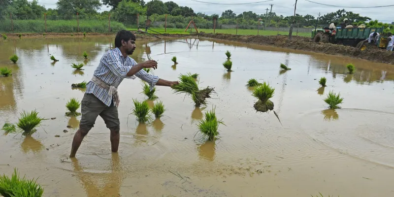 El Niño 2026 May Challenge Monsoon, Agriculture and Food Prices, but India Better Prepared: CareEdge Report